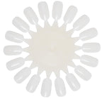 Espositore 16 Colori