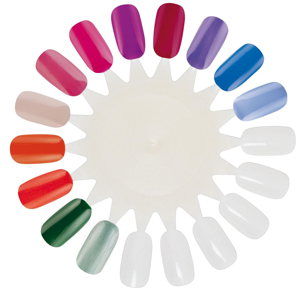 Espositore 16 Colori