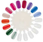 Espositore 16 Colori